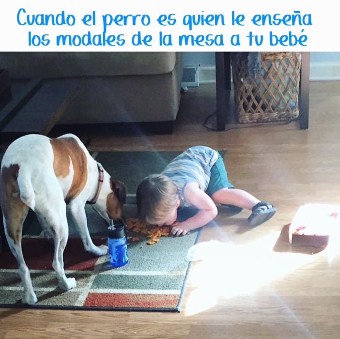 niño comiendo del suelo con un perro al lado