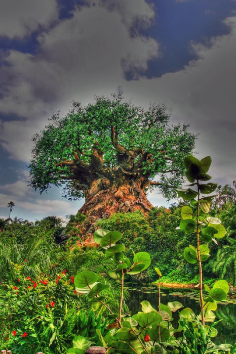 el árbol de la vida