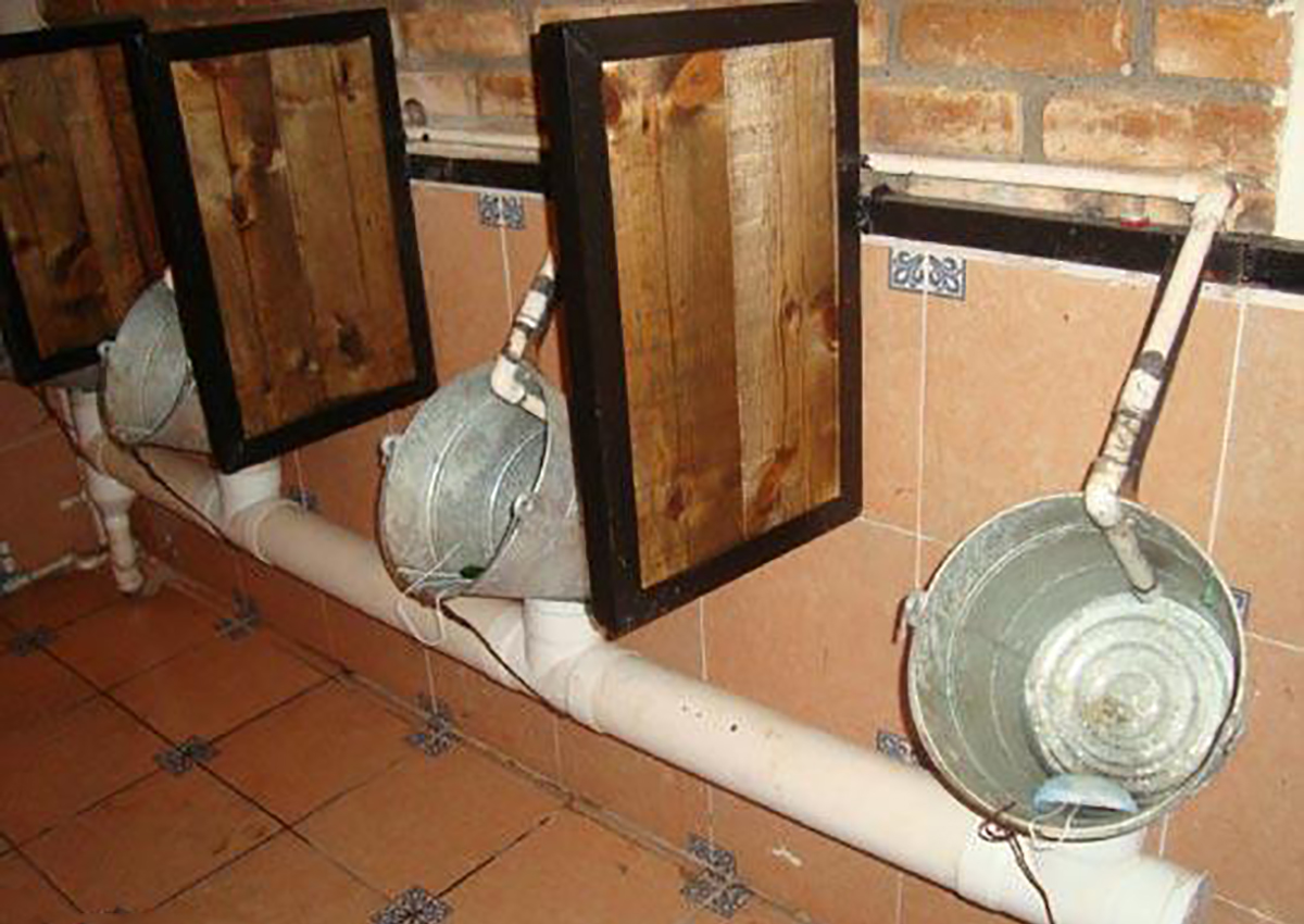 personas que fueron engañadas por sus tacaños caseros