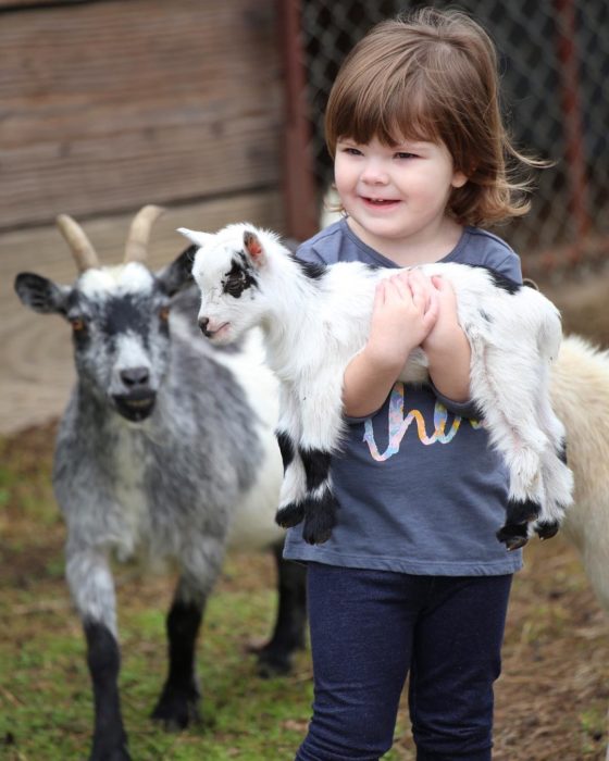 bebé cargando una cabra