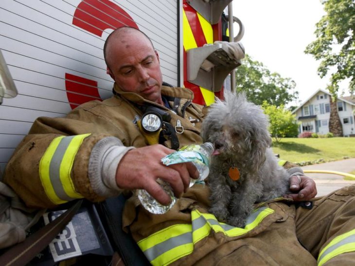 un bombero da de beber agua a un perrito que rescató