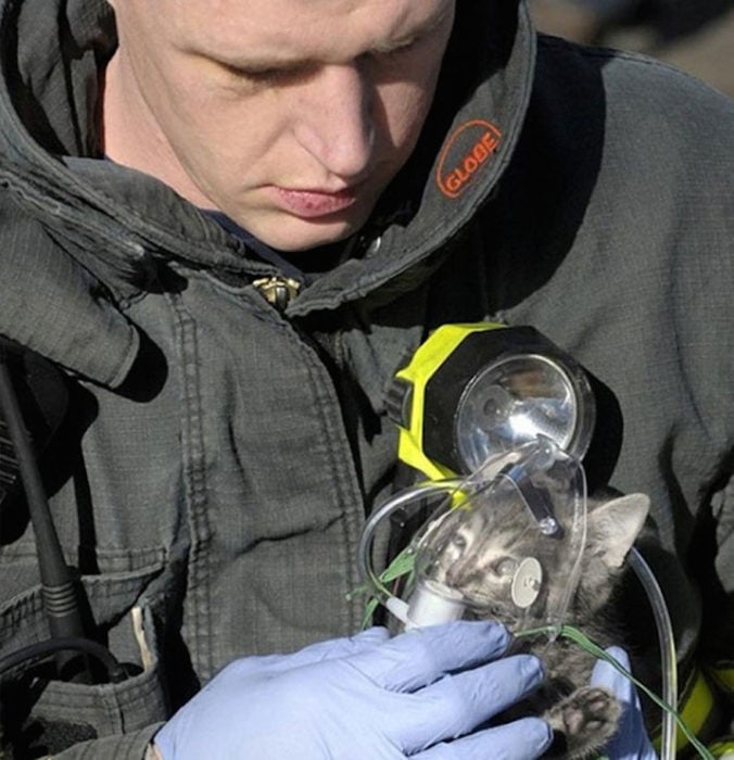 un bombero que rescató de un incendio a este tierno gato