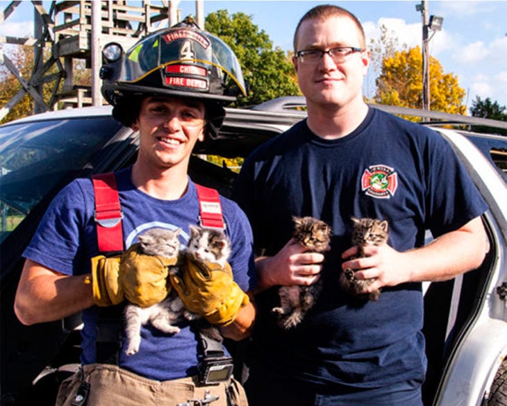 bomberos rescataron a gatitos abandonados durante un simulacro