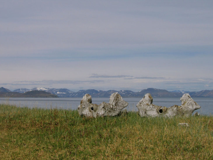 cementerio de ballenas en siberia