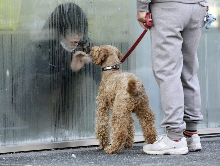 chica detrás de un vidrio y perro del otro lado
