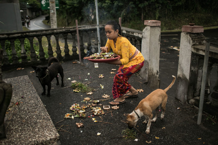 niña cuidadora de perros callejeros 