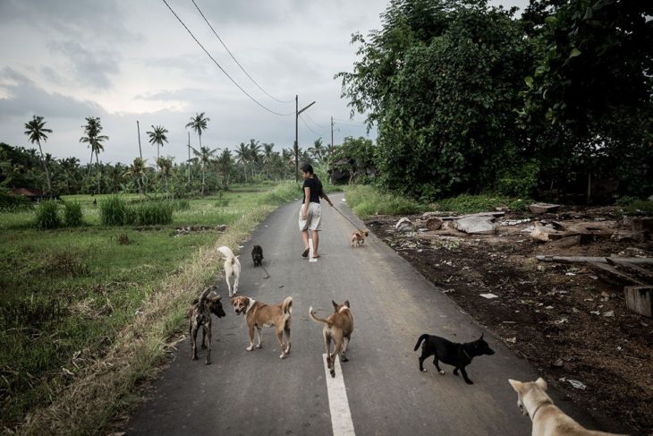 niña que cuida perros callejeros