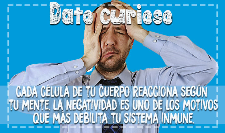 dato curiosos sobre negatividad