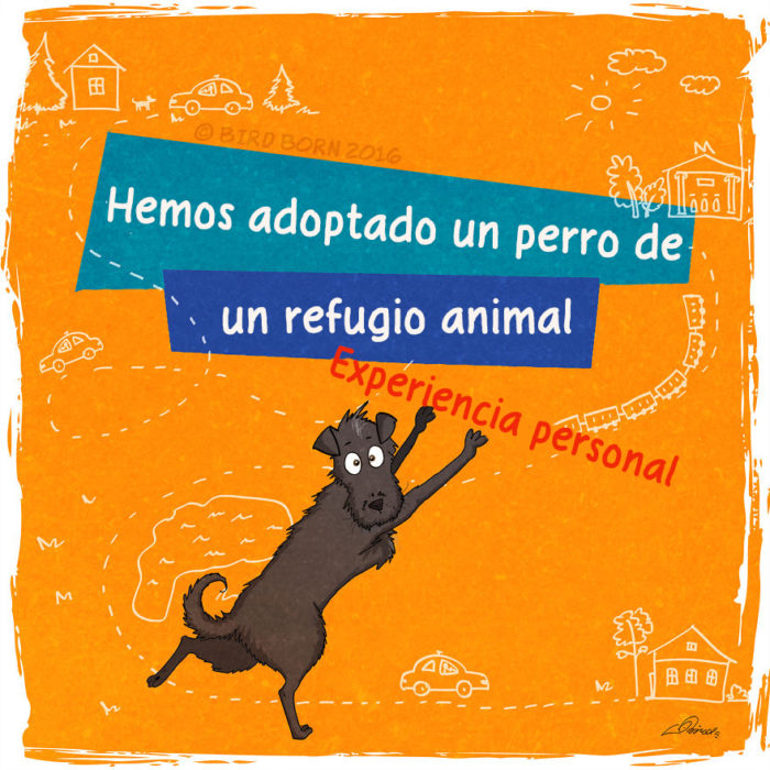 hemos adoptado un perro de un refugio