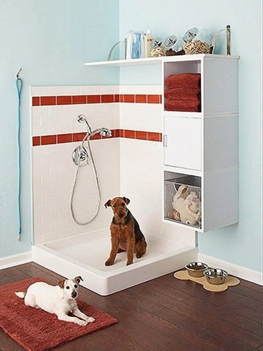 cuarto de baño para perro