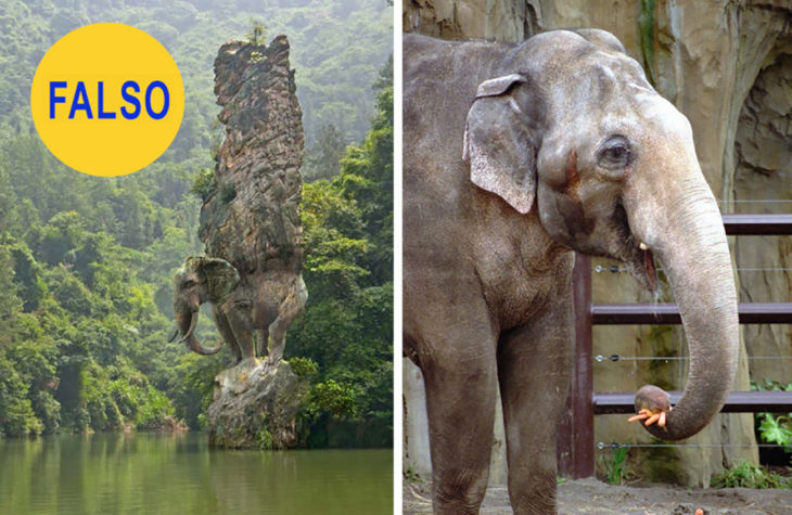 escultura de un elefante sosteniendo una columna