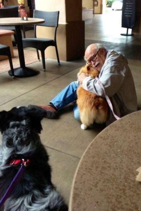 un corgi alegrando a un abuelito