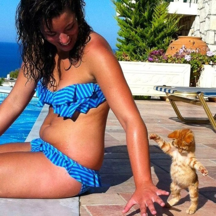 un gato jugando con la mano de una muchacha de proporciones anchas