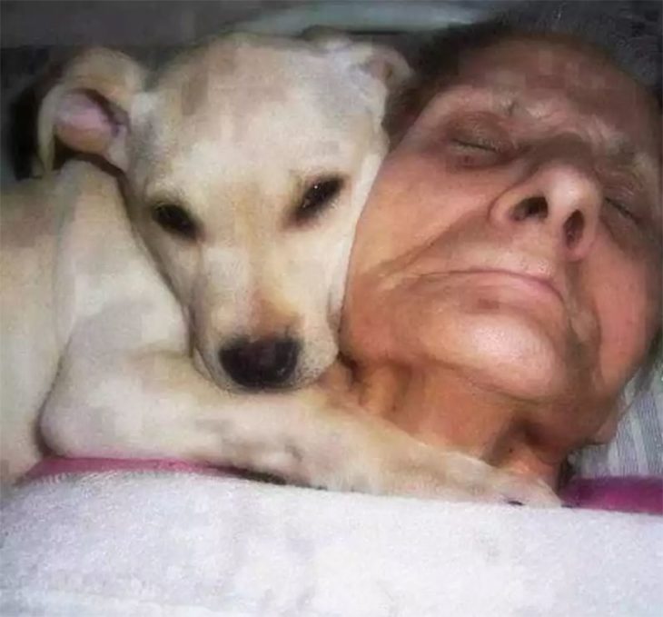 francisca romero y su perro