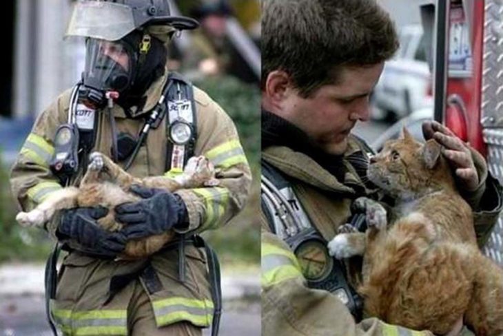 un gatito agradece al bombero que lo salvó de un incendio