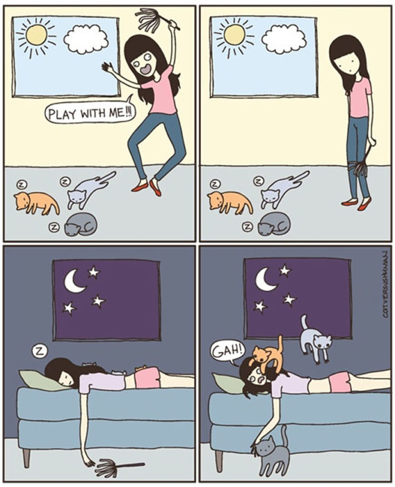 la vida real con gatos 5