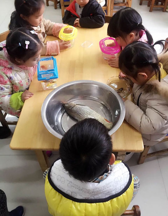 niños de preescolar con peces, uno tiene un pescado