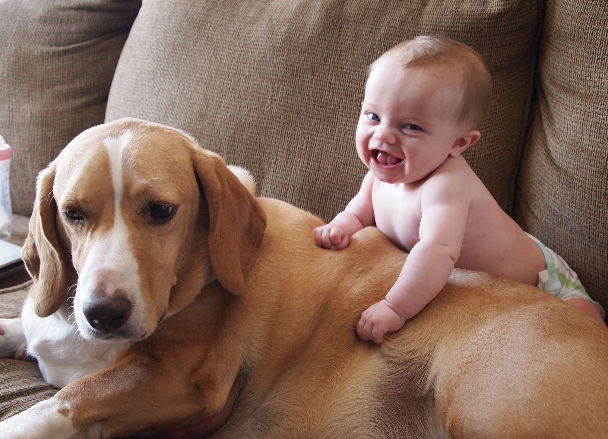 https://www.recreoviral.com/wp-content/uploads/2017/01/ni%C3%B1o-feliz-perro.jpg
