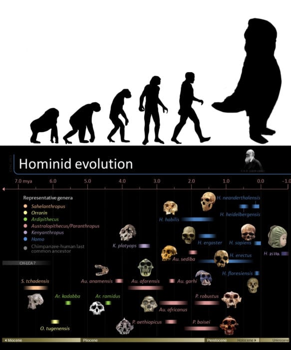 Evolución dinosaurio niño disfraz