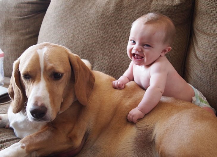 niño expresando lo feliz que es junto a su perro