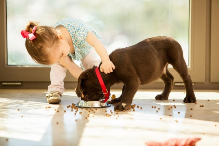 perro comiendo mientras una bebé lo abraza