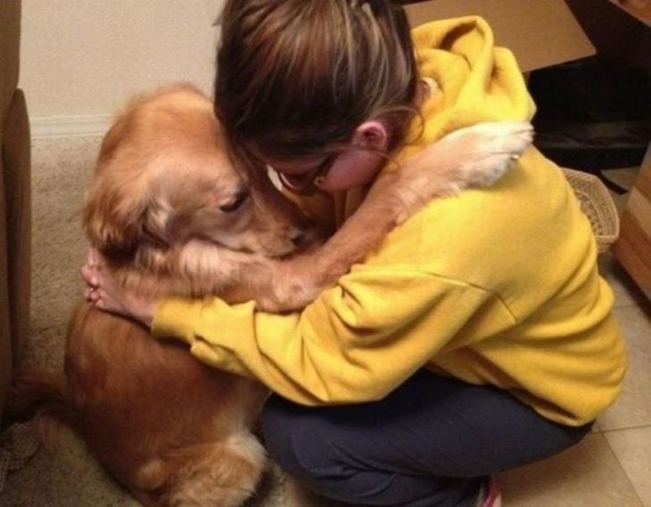 un perro junto a su dueña tratando de animarla