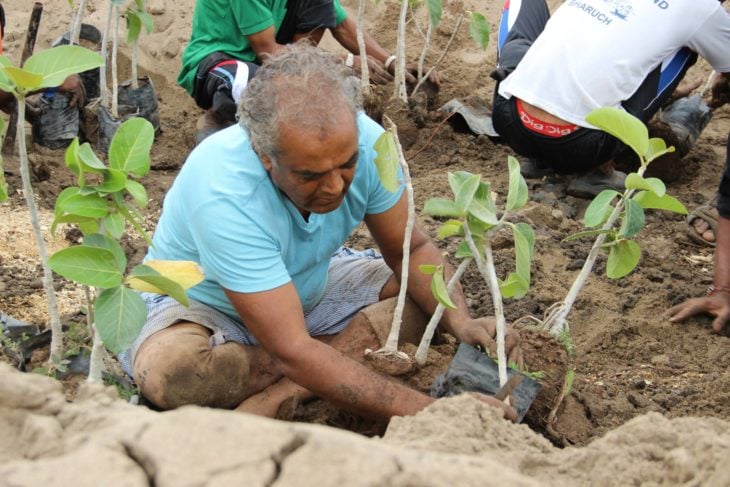 savji dholakia plantando un árbol