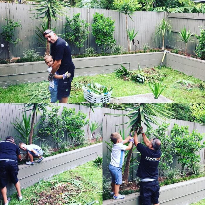 niño planta árboles con su papá