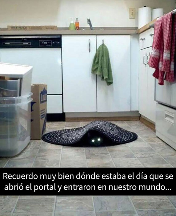 un gato debajo de un tapete