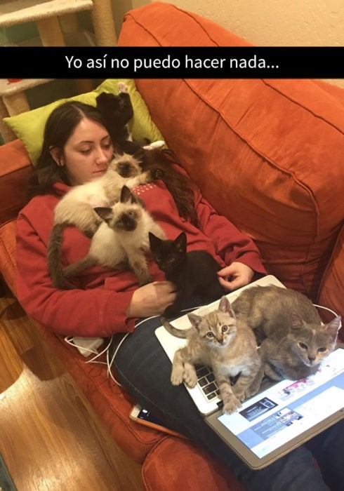 foto de una mujer con muchos gatitos bebés encima de ella