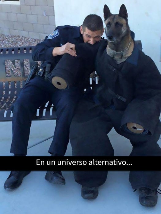 un oficial mordiendo a un perro policía