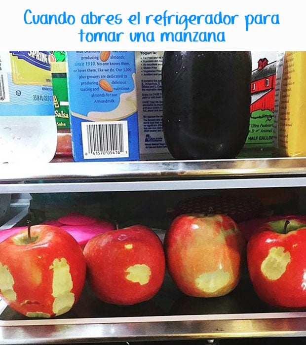 manzanas mordidas