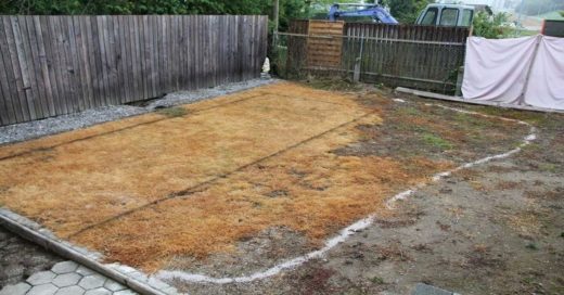 Convierte tu horrible patio trasero en un mini paraíso