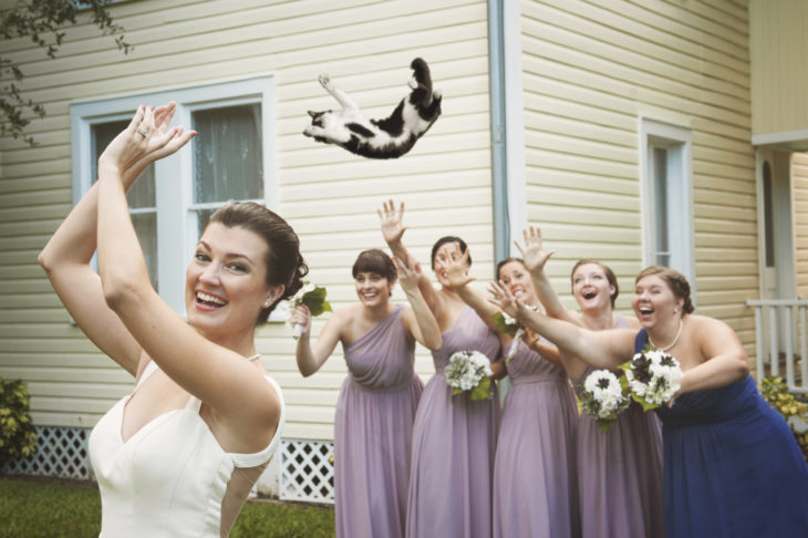 novia lanza un gato a sus damas vestidas de color lila