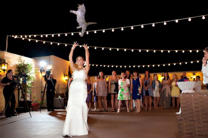 mujer lanza a aire un gatito durante su boda