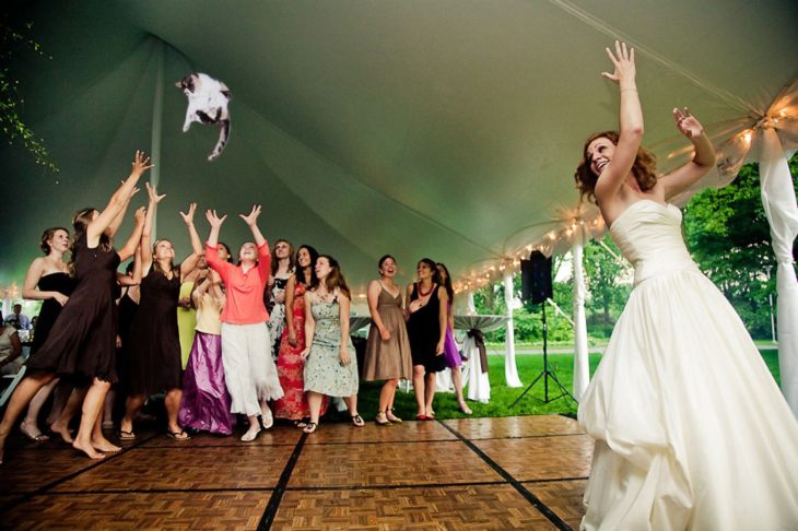 en pista de baile novia avienta un gato a sus invitadas