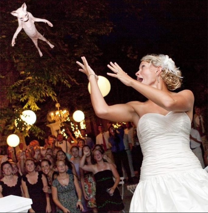 mujer con vestido de boda lanza un gato