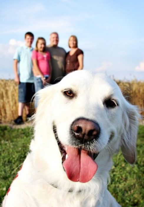 foto de familia y perro adelante 