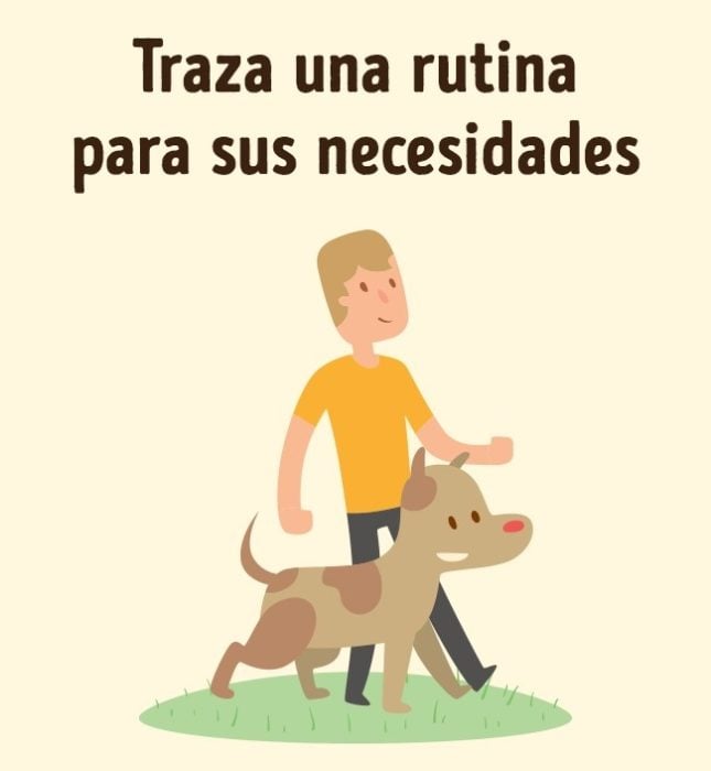 Entrenamiento perros rutina hacer necesidades