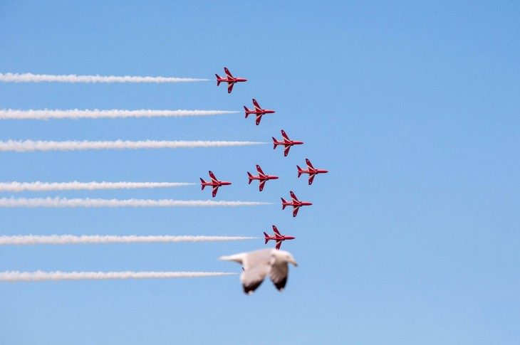 gaviota aviones Fotografías tomadas en el momento exacto