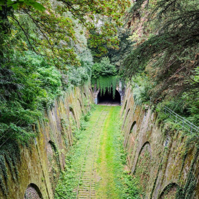 tunel por donde pasaba el tren abandonado