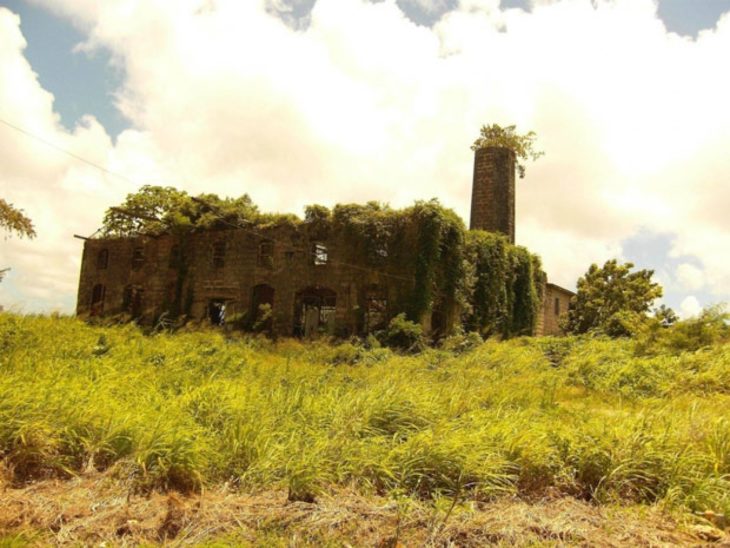 fabrica en medio de la naturaleza 