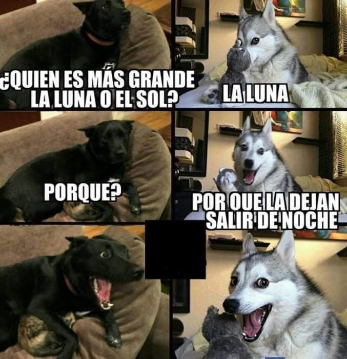 Memes simples luna husky meme