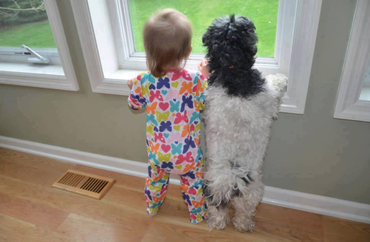 pijama ventana perrito niña