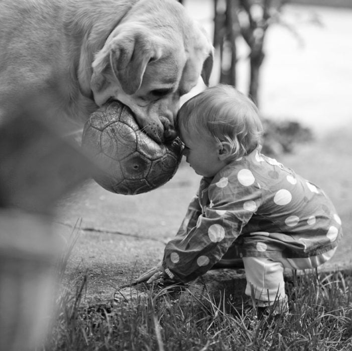 fútbol perrito caricia blanco y negro bebé