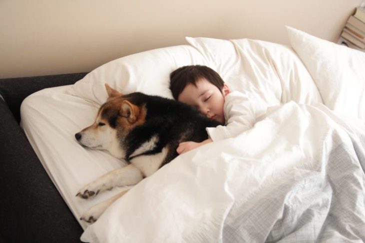 niño en cama con perro