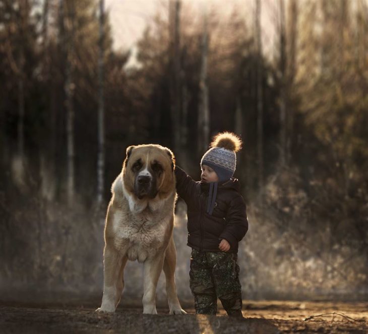 guardián perro grande