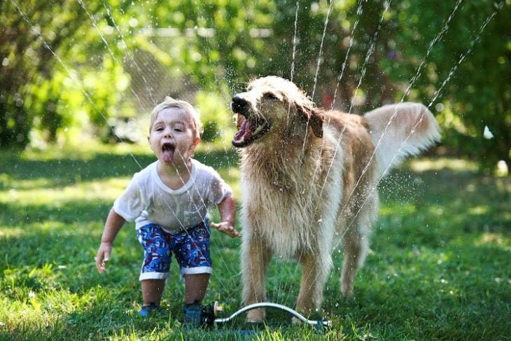 pequeño y perrito haciendo travesuras