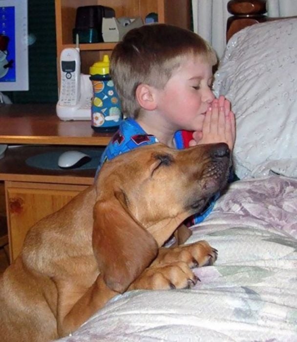 rezando perrito
