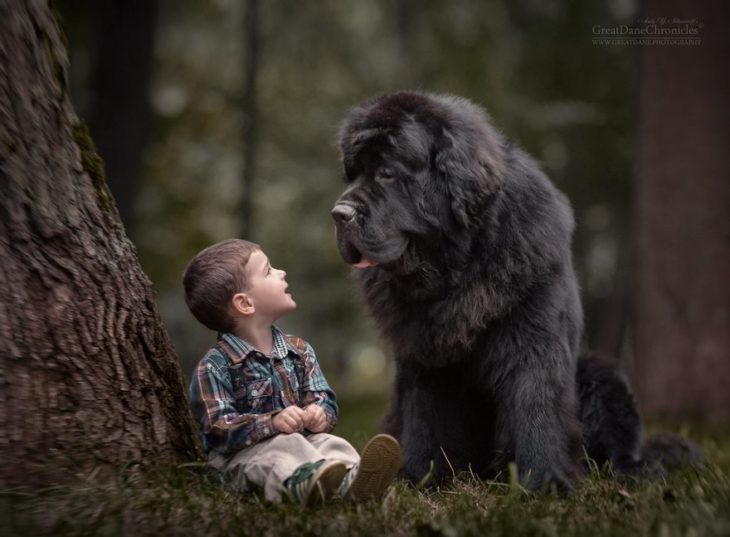 niño y perrito platicando